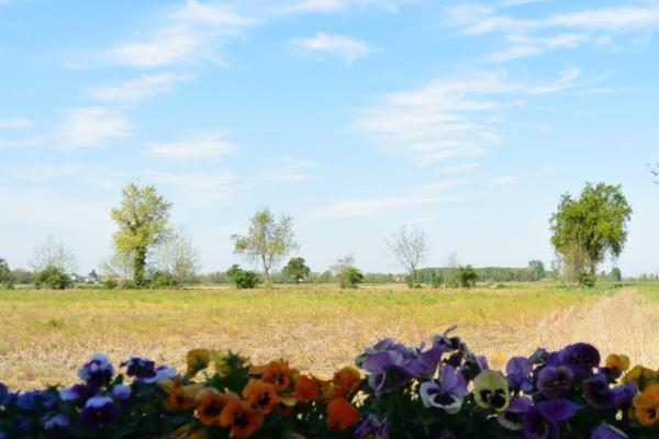 Carrobbio Bed&Breakfast Guest House Cremona Luaran gambar